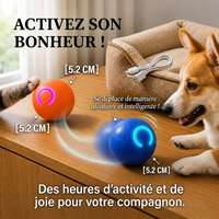 🎾 La Balle Magique pour Chien : Roule, Bouge et Joue Toute Seule !