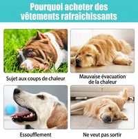 Gilet rafraîchissant pour chien – restez au frais même en pleine chaleur