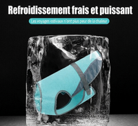 Gilet rafraîchissant pour chien – restez au frais même en pleine chaleur