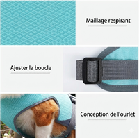 Gilet rafraîchissant pour chien – restez au frais même en pleine chaleur