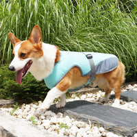 Gilet rafraîchissant pour chien – restez au frais même en pleine chaleur