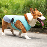 Gilet rafraîchissant pour chien – restez au frais même en pleine chaleur