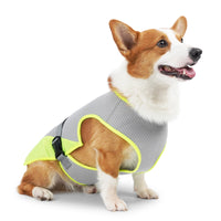 Gilet rafraîchissant pour chien – restez au frais même en pleine chaleur