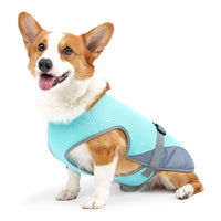 Gilet rafraîchissant pour chien – restez au frais même en pleine chaleur